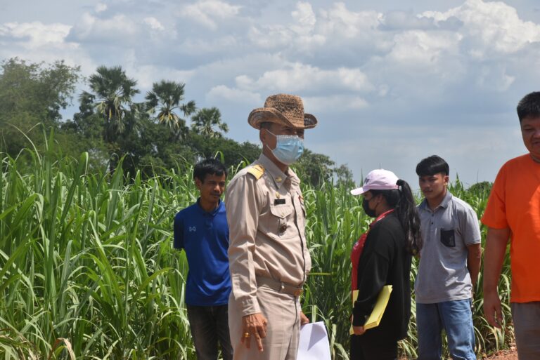 โครงการปรับปรุงซ่อมแซมถนนลูกรัง หมู่ 3 และ หมู่ 11 ตำบลสระโบสถ์