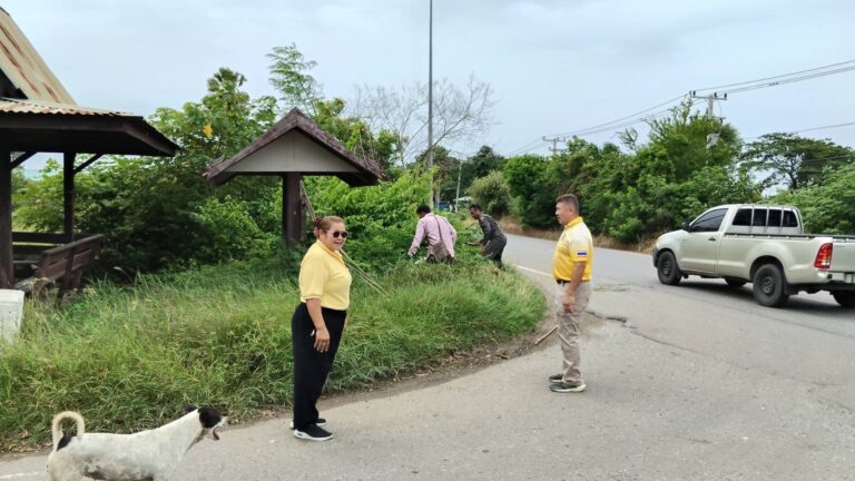 การดำเนินการทำความสะอาด ตัดหญ้า บริเวณหมู่ 1 และหมู่ 11