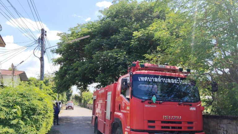 ลงพื้นที่ตัดกิ่งไม้ บริเวรรอบรั้วโรงเรียนอนุบาลสระโบสถ์