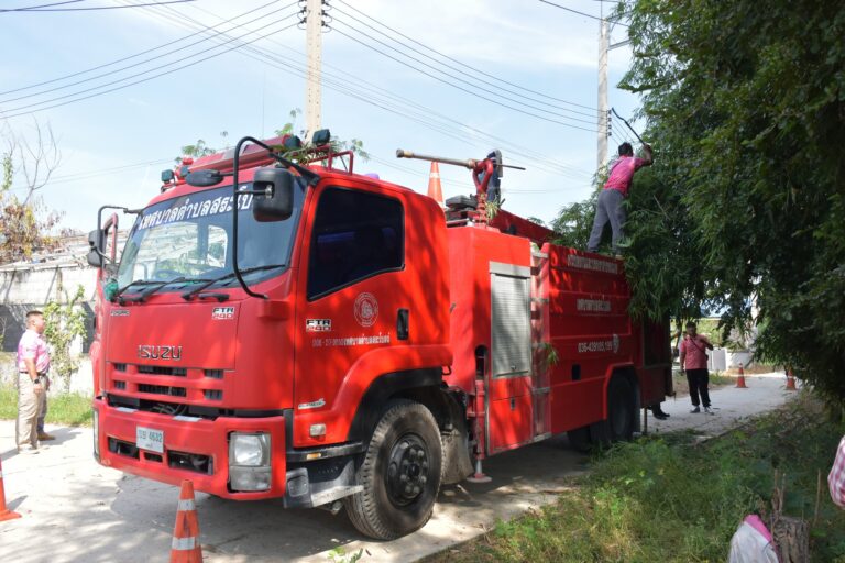 ลงพื้นที่ตัดแต่งกิ่งไม้